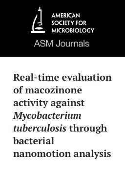 Real-time evaluation of macozinone activity against Mycobacterium tuberculosis through bacterial nanomotion analysis