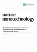 Rapid detection of bacterial resistance to antibiotics using AFM cantilevers as nanomechanical sensors.